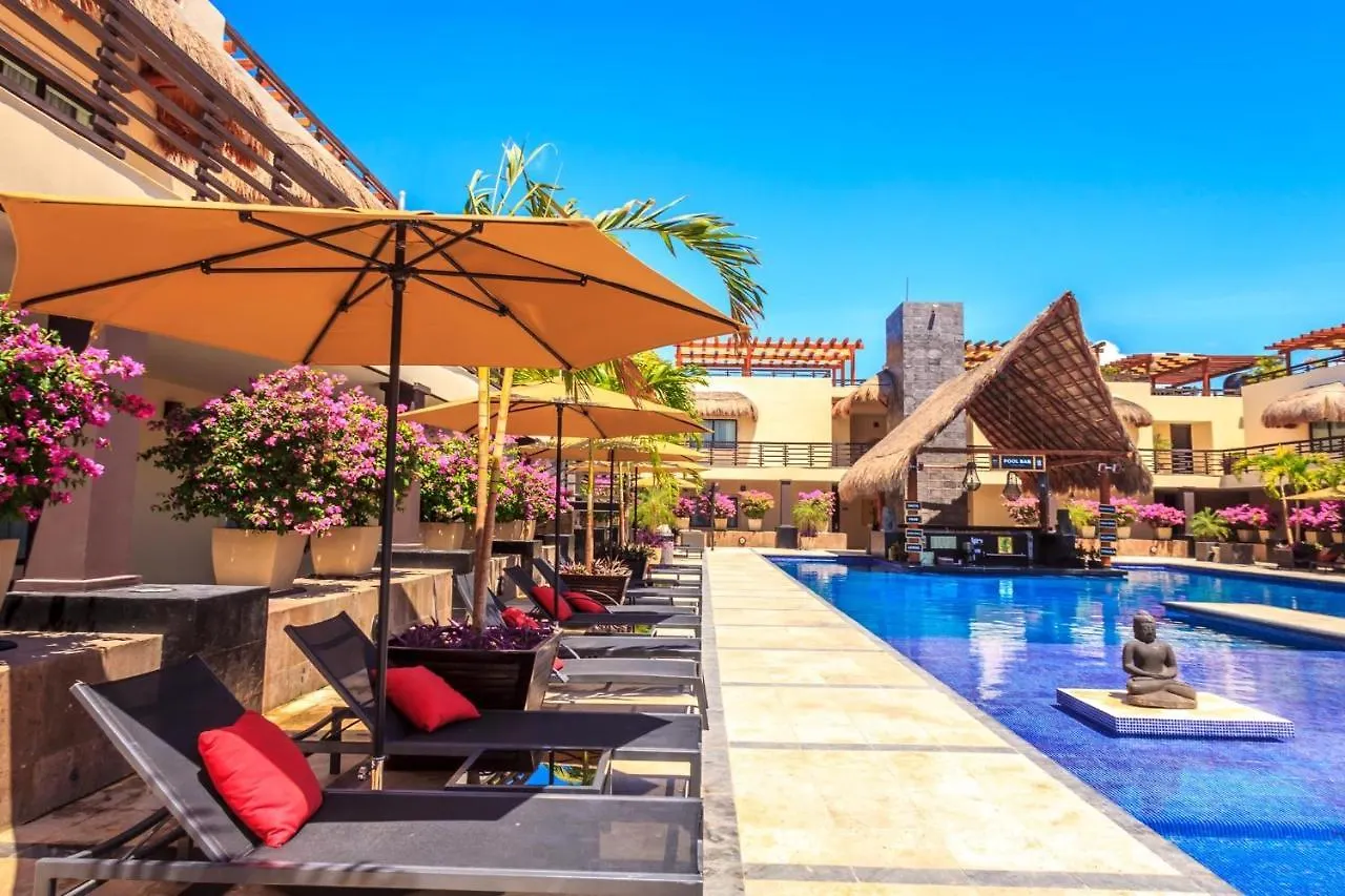 Aldea Thai 306 Condo Πλάγια Ντελ Κάρμεν Διαμέρισμα